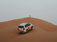 世界杯官方平台-数据模型预测：湖人绿军夺冠概率大 勇士西部倒数